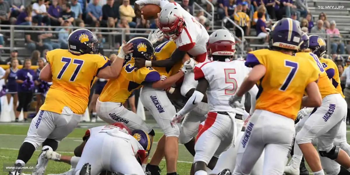 为什么选择我们